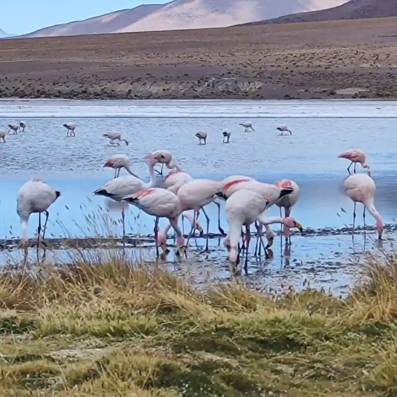 Atracciones en Ruta