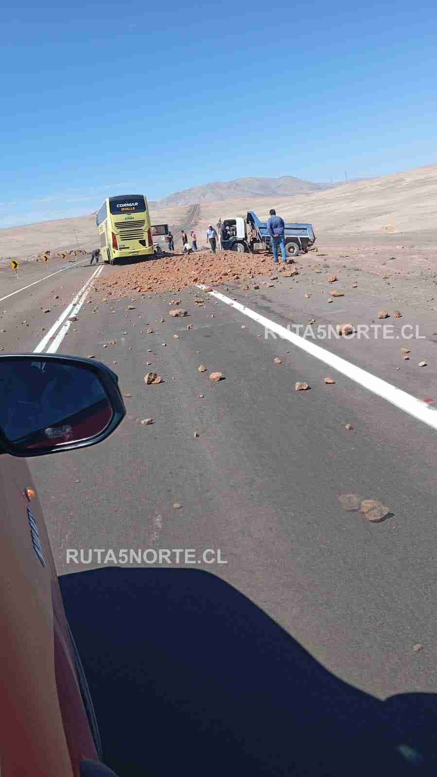 Reporte